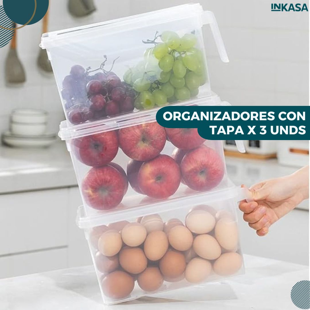 Organizadores con tapa x 3 unds