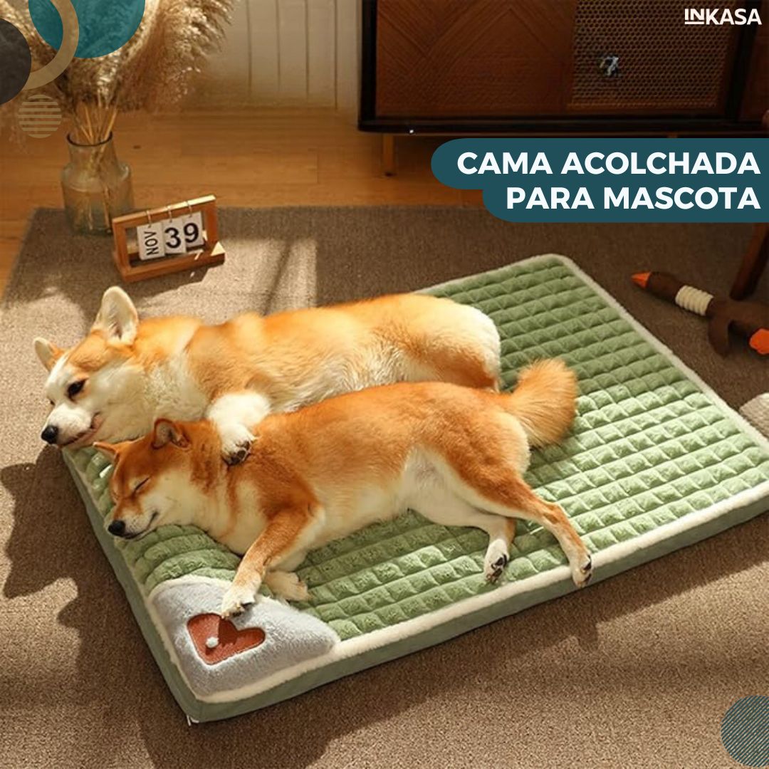 Cama acolchada para mascota