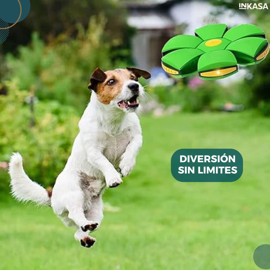 Pelota voladora para niños y mascotas