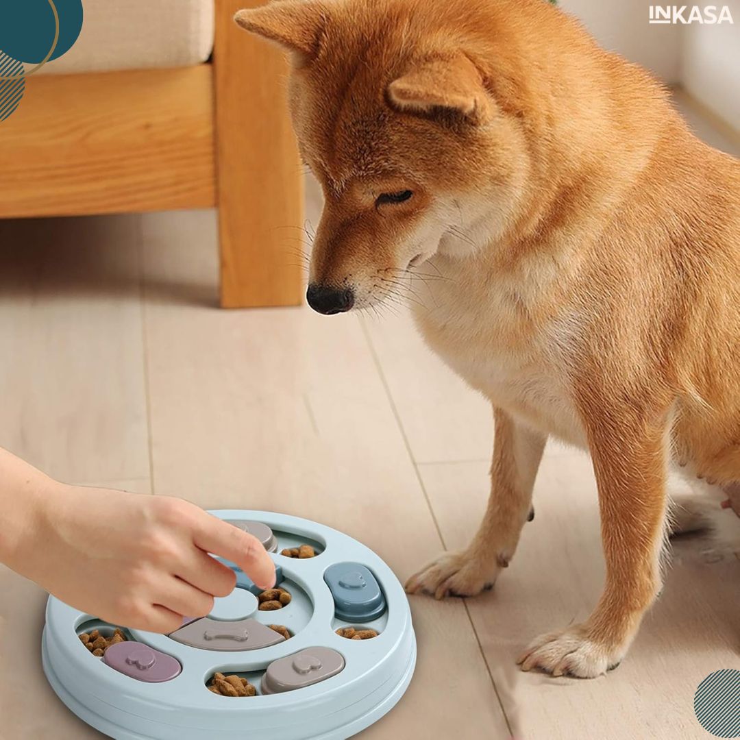Plato didáctico para mascotas