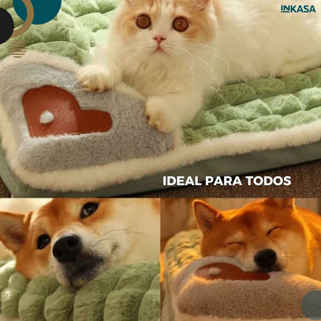Cama acolchada para mascota