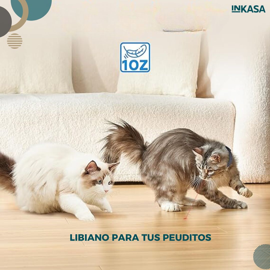 Collar con láser interactivo para mascotas