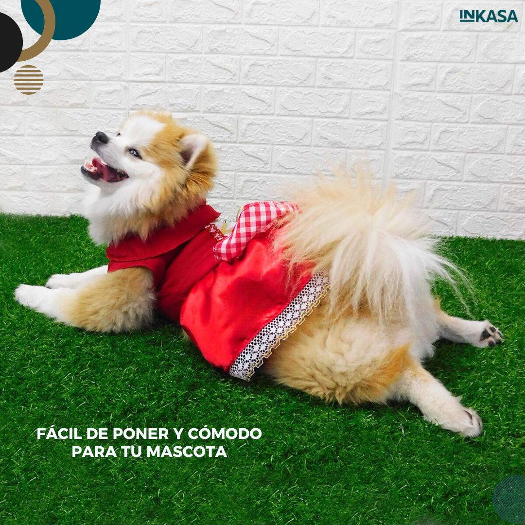 Disfraces para mascotas