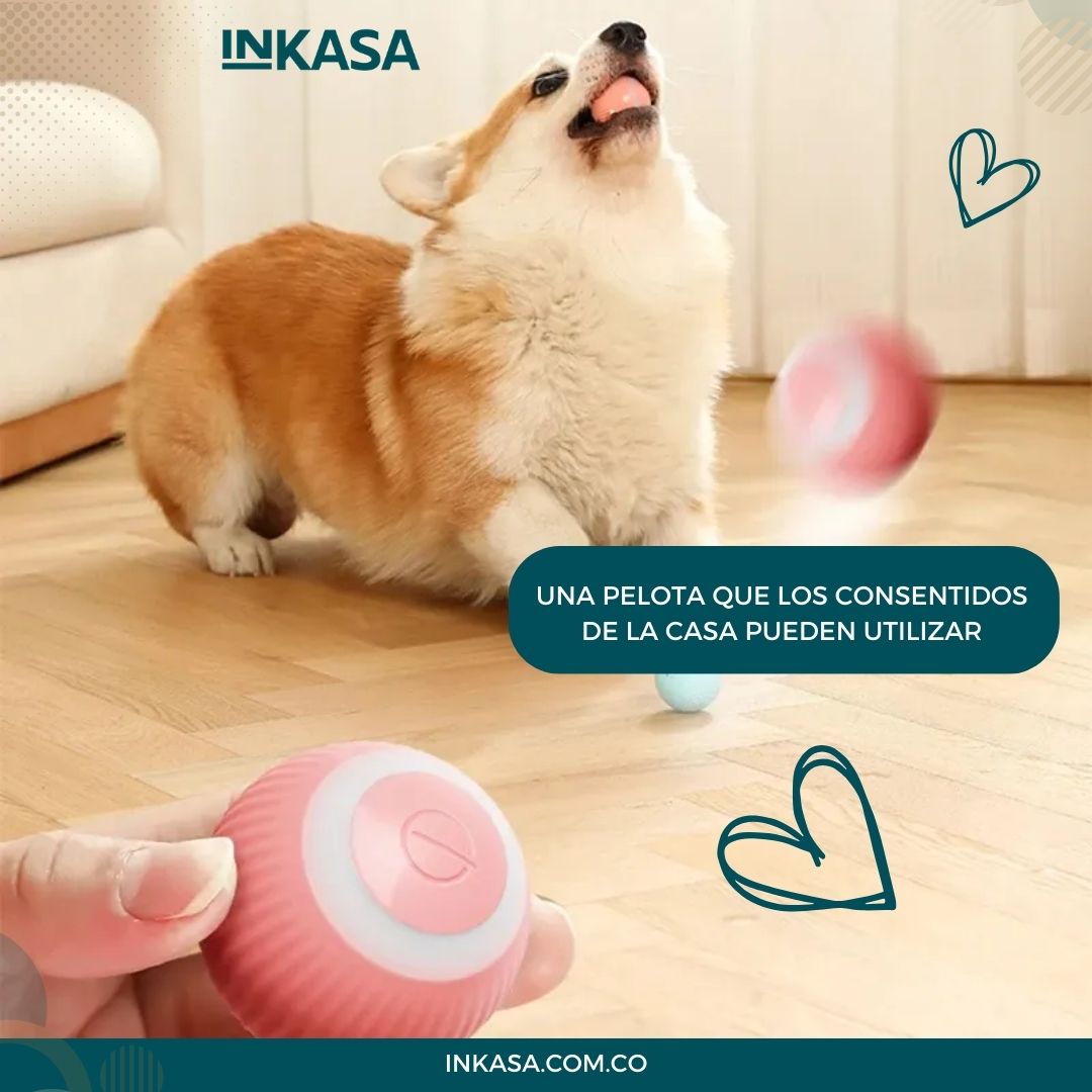 Pelota Inteligente para mascotas recargable 2X1