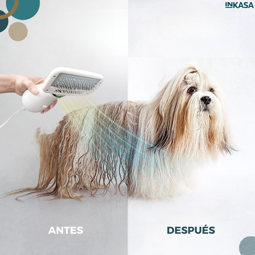 Cepillo secador para mascotas