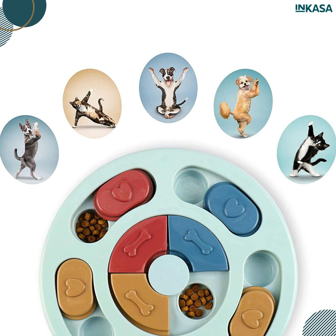 Plato didáctico para mascotas