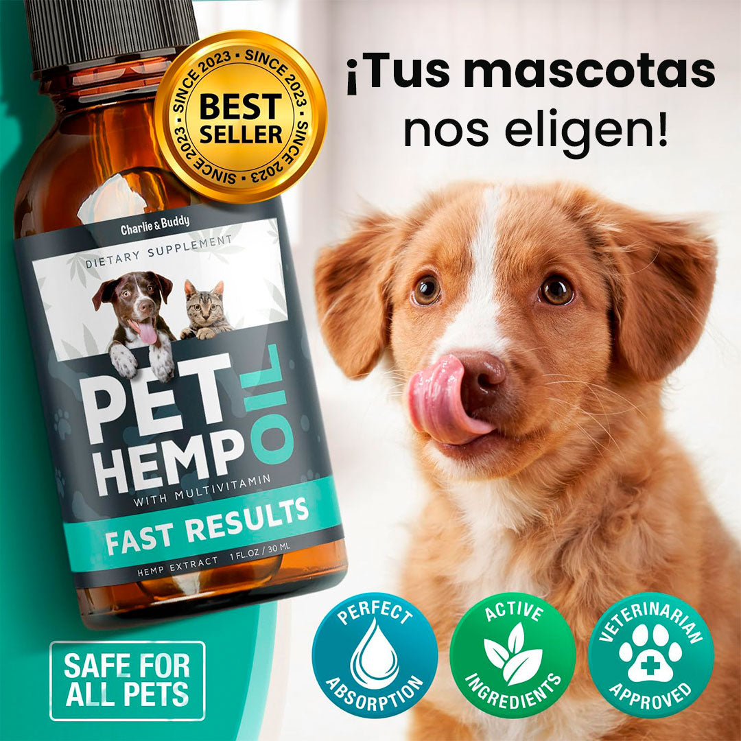 Pet Hemp Oil: Calma Natural para Mascotas en Momentos Difíciles😽🐕🦺