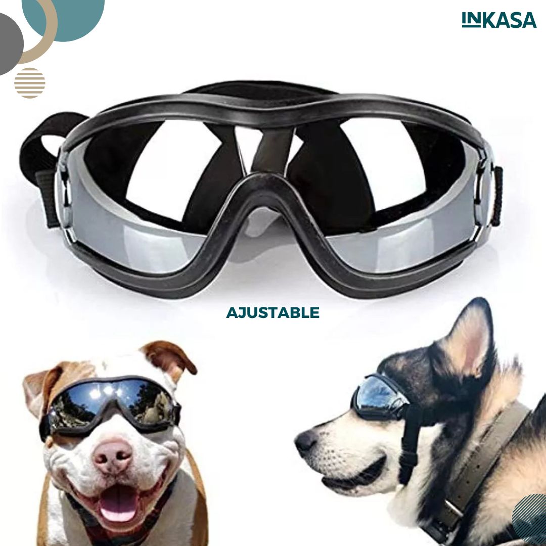 Gafas para Mascota Or84