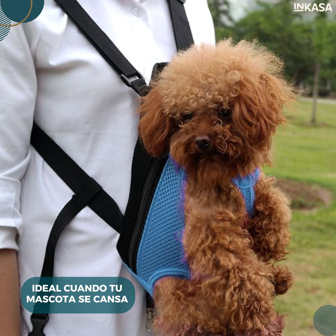 Canguro para mascotas