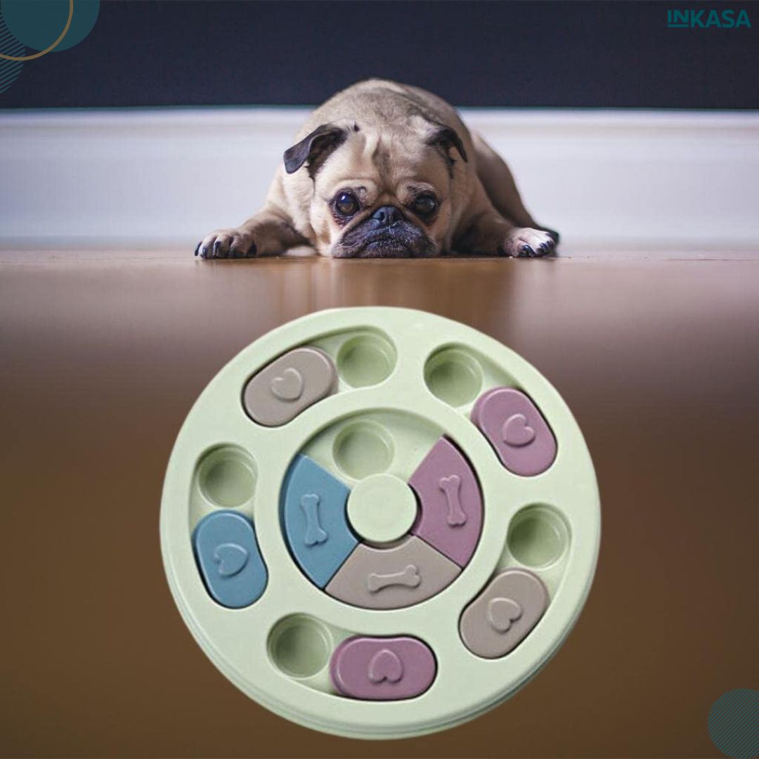 Plato didáctico para mascotas
