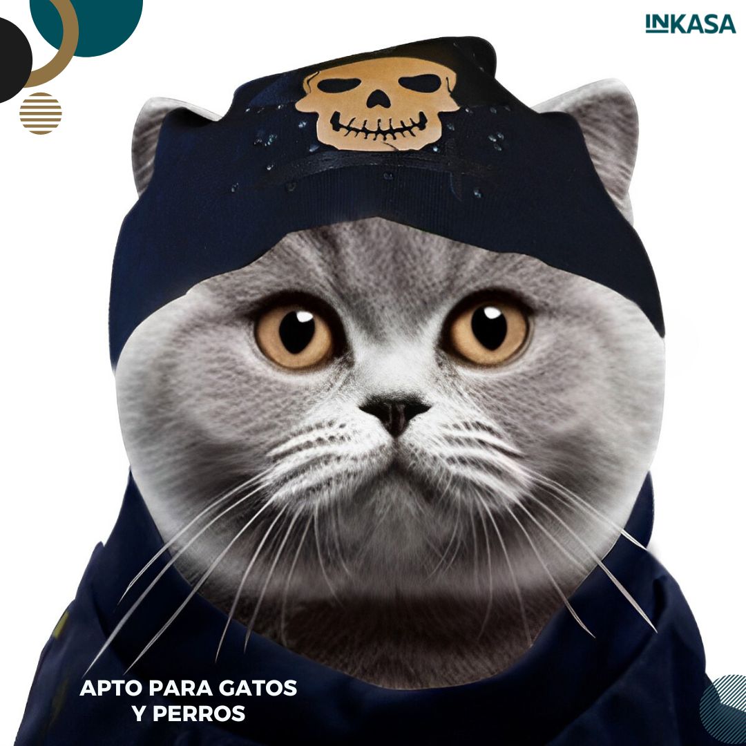 Disfraces para mascotas