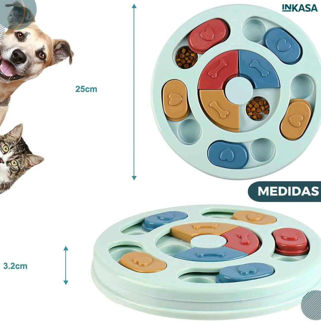 Plato didáctico para mascotas