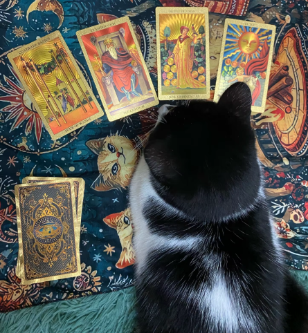 CARTAS TAROT LÁMINA DE ORO 🃏🧙 ¡1 mazo con 78 cartas!