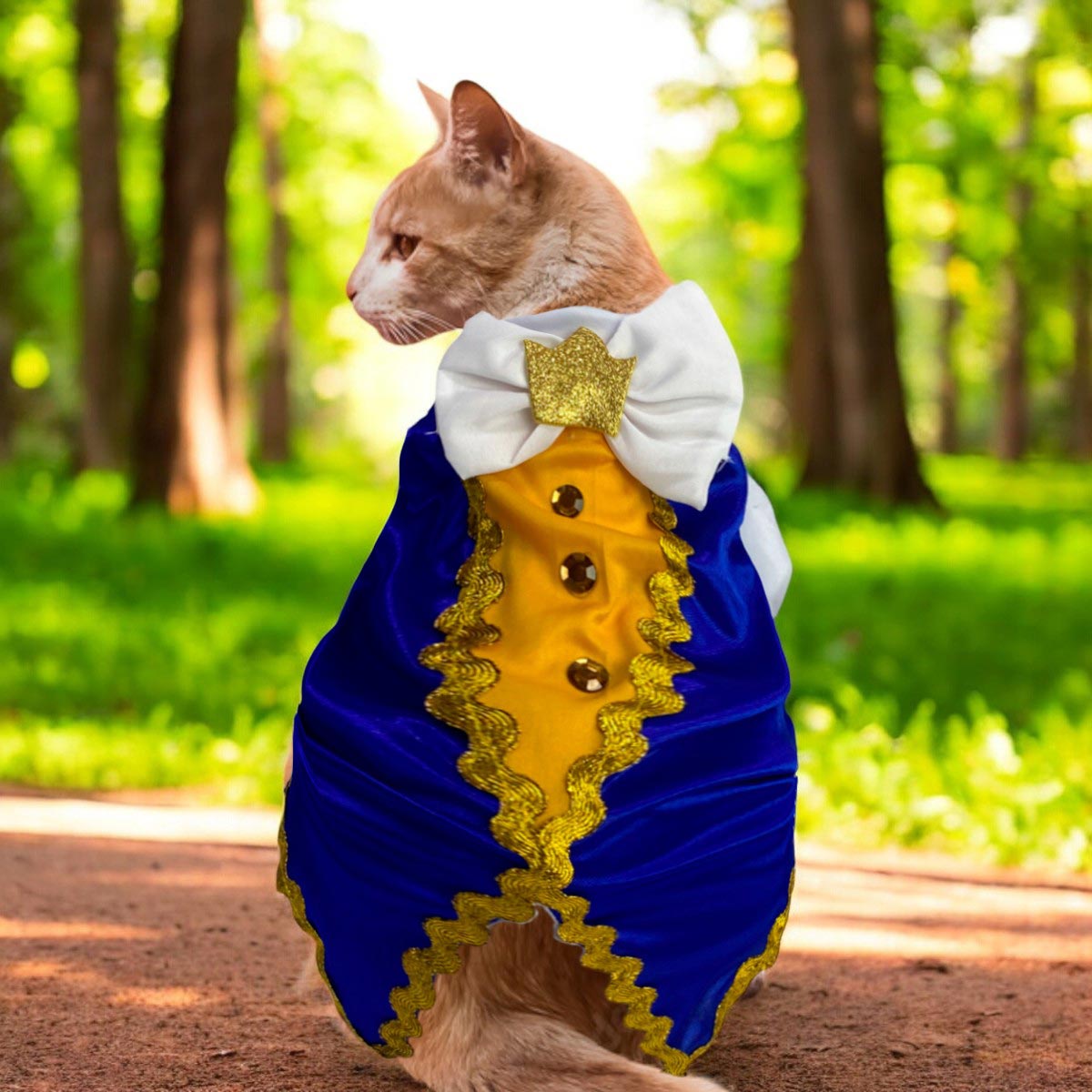 Disfraces para mascotas