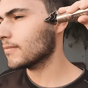 Barbera Patillera Buda T9 Dorada