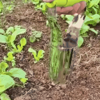 Herramienta para trasplantar plantas