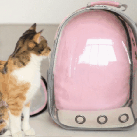 Maleta Morral Mascotas Burbuja