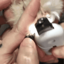 Corta uñas para mascotas con luz led x 2 unds