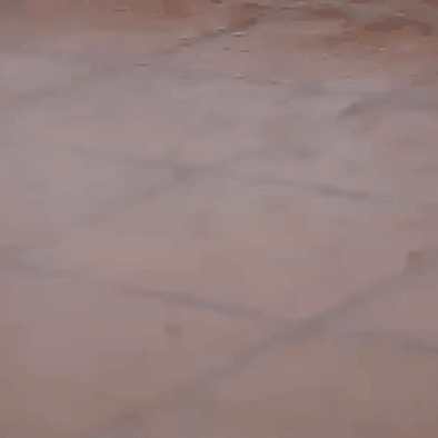 Secador para ropa portátil