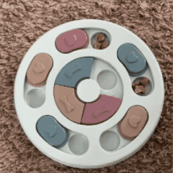 Plato didáctico para mascotas