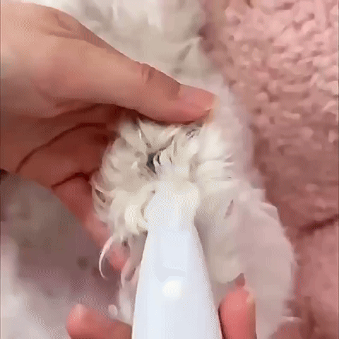 Cortadora quita pelos para mascotas