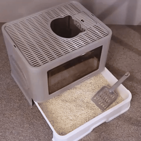 Arenero para gatos plegable + Obsequio