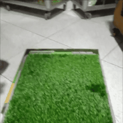 Tapete de entrenamiento para perros grandes y pequeños