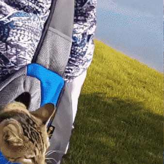 Morral Cargador de Mascotas