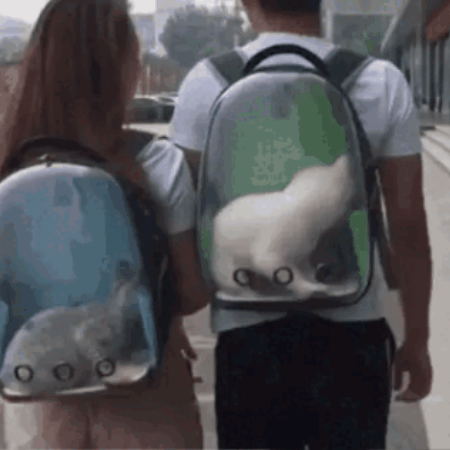 Maleta Morral Mascotas Burbuja