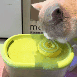 Fuente de agua automática para mascotas