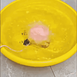 Turbina mini para lavado portátil
