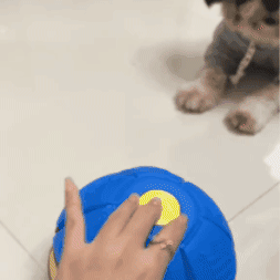 Pelota voladora para niños y mascotas