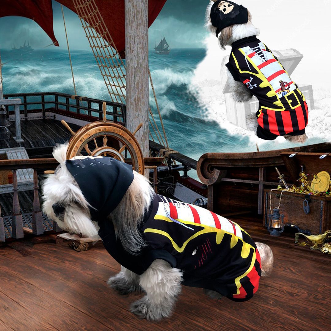 Disfraces para mascotas