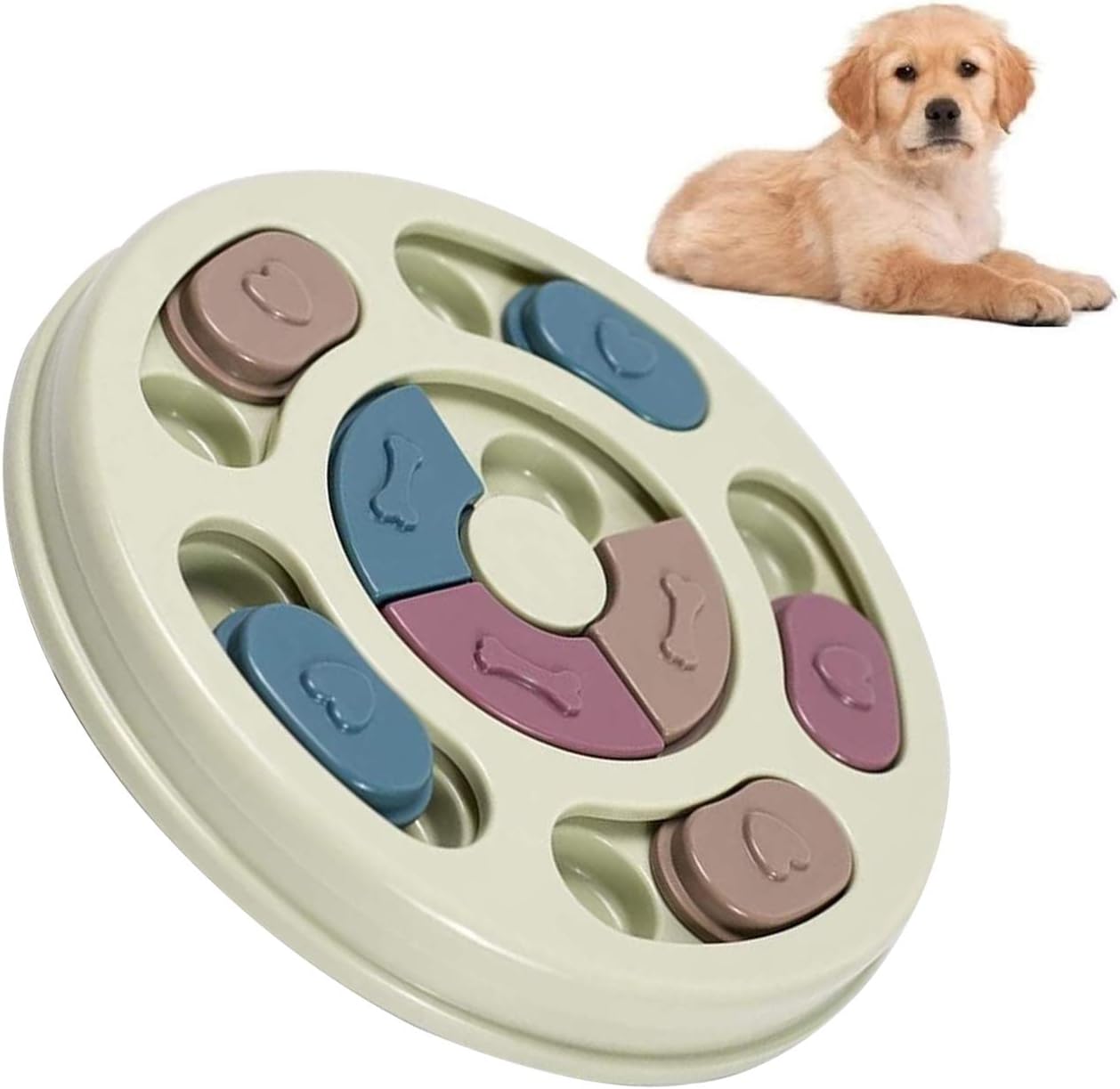 Plato didáctico para mascotas