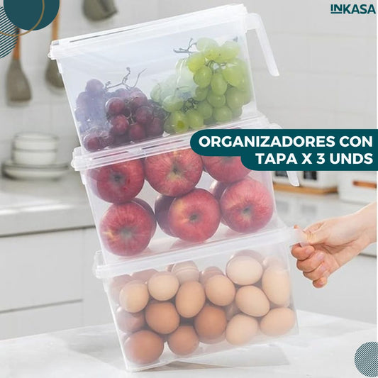 Organizadores con tapa x 3 unds