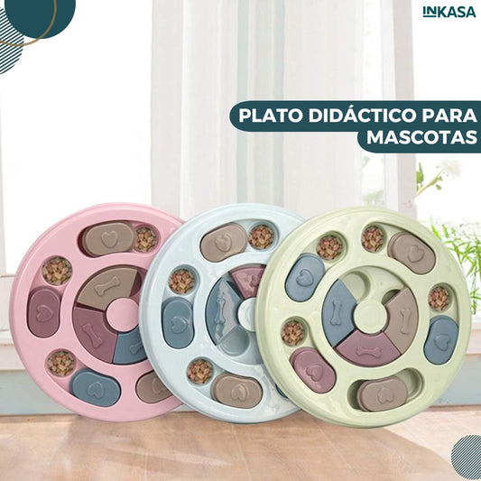 Plato didáctico para mascotas
