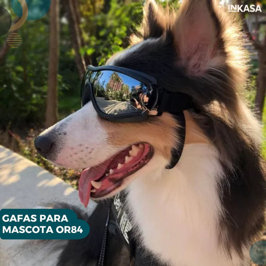 Gafas para Mascota Or84