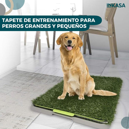 Tapete de entrenamiento para perros grandes y pequeños