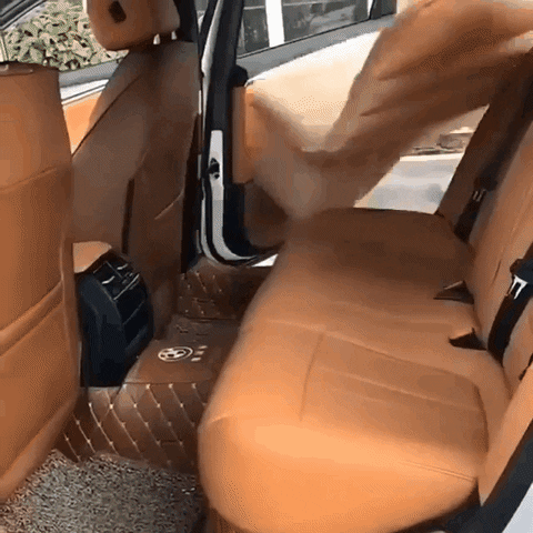 Colchón Inflable para Carro