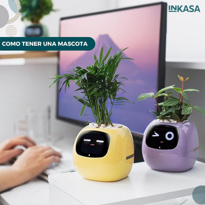 Maceta inteligente IA múltiples expresiones