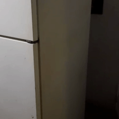 🧊Vinilo Adhesivo para Nevera – Transforma tu cocina sin reformas