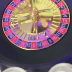 Ruleta De Shots Juego De Mesa