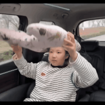 Cojín de viaje para carro