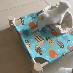 Cama Elevada para Mascotas
