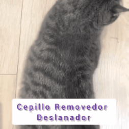 Cepillo Removedor de Pelo 2 en 1